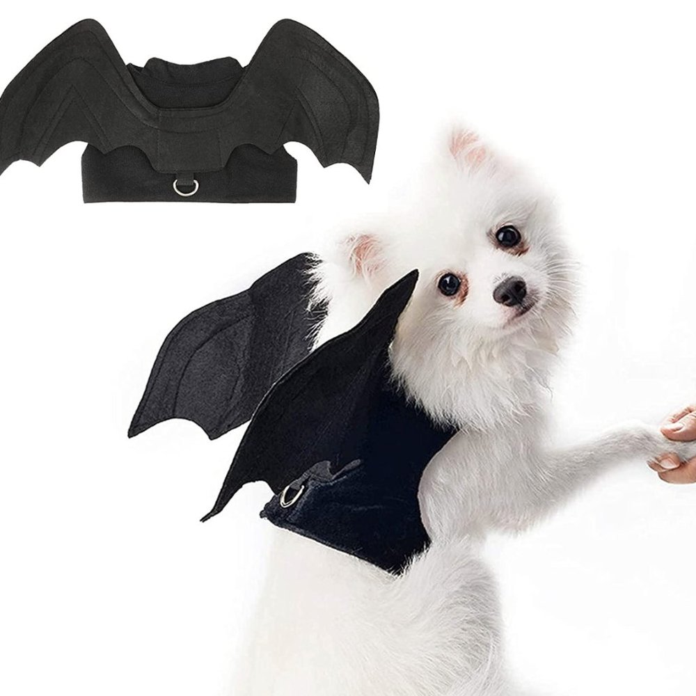 Goth dog Adjustable wire batwing harness and leash set